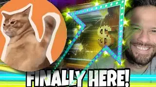 CatSlap Price Is Jumping! Let The Rally Begin!