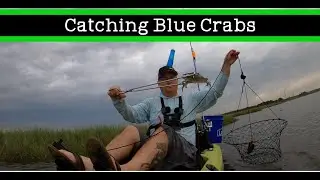 Catching Blue Crabs in a kayak with nets | Louisiana