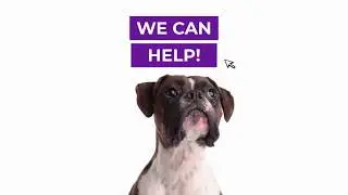The Solution to Book Marketing Confusion