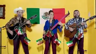 Los dos amigos ( En Vivo)