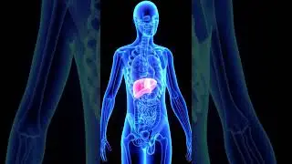 🥑 Keto Diet Explained: OFF Carbs ON FatBurn Fat Fast with Ketosis! #fitnessjourney #fitnessjourney