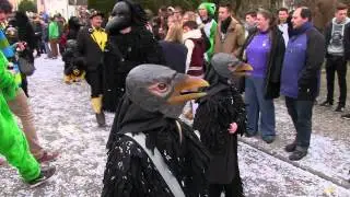 Erzingen 16 2 14 Narrentreffen Teil 4