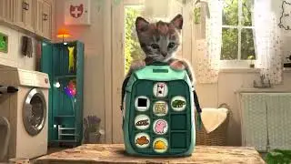 Little Kitten: Cat Adventure - Play Fun Cute Kitten Pet Care Learning l Educational Games