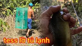 bữa nay vô mánh .đi câu rô đồng giật sướng tay.!!!