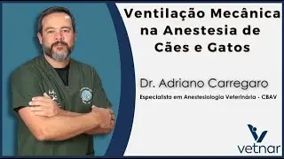 🐙 Ventila&ccedil;&atilde;o Mec&acirc;nica na Anestesia de C&atilde;es e Gatos 🐕 🐈