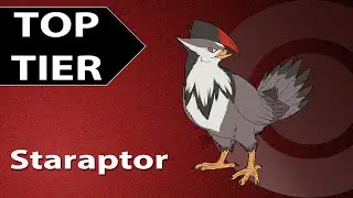 Top Tier Staraptor (OU) | How to use Staraptor