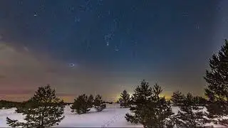 Wildnisgebiet Jüterbog