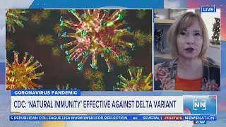 CDC study: &lsquo;Natural immunity&rsquo; effective against Delta variant | Morning in America