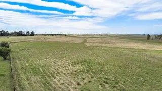 3 bedroom Smallholding for For Sale | Tierpoort