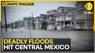 Floods in Mexico Leave 130 Dead or Missing | WION CLIMATE TRACKER