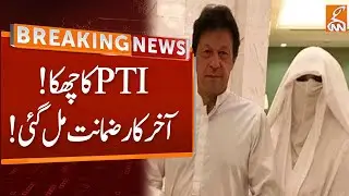 Bail Approved | PTI Sixer | Breaking News | GNN