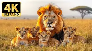 Wonderful Animals 4K - Discover Nature's Most Beautiful Animals with Relaxing Peaceful Music