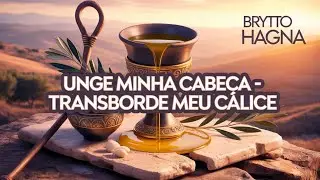 QUEREM QUE TRANSBORDE? OU APENAS ENCHA ?