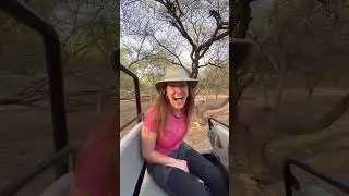 A glimpse to my Leopard safari experience in Jhalana #jaipur