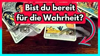 💓 Du und dieser Mensch teilt die gleichen interessen und das führt euch immer näher zusammen