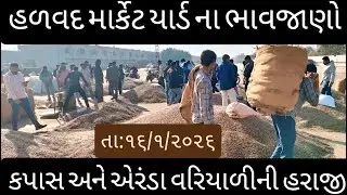 Live હળવદ માર્કેટ યાર્ડ ના #ભાવજાણો #bajurbhav #farming #ખેડૂત #હળવદમાર્કેટયાર્ડ #HALVAD APMC 