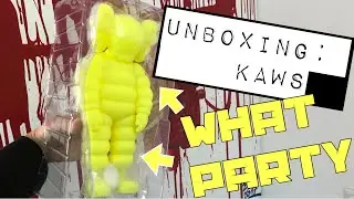KAWS : WHAT PARTY UNBOXING