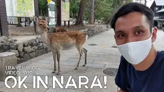 OK In Nara Japan 奈良 | 2020-16
