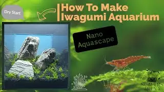 How to Build a Nano Iwagumi Aquarium | Step-by-Step Aquascaping Guide (Beginner-Friendly)
