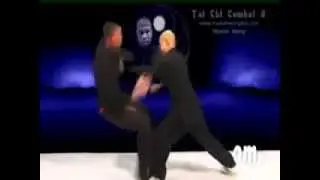 Tai Chi Combat application - old dvd preview