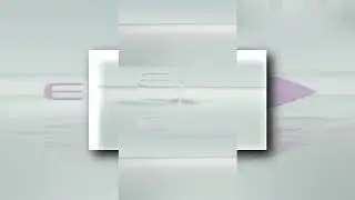 YTPMV Eidos Logo Scan