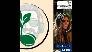PODCAST Taste of Home: South African Food Nostalgia like Grandma used to do