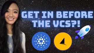 Первая площадка для запуска акций на Cardano! | Sundial Protocol