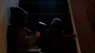 Dog Attack
