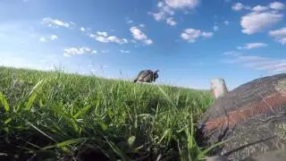 GoPro: Iowa Turkey Decoy Time Lapse