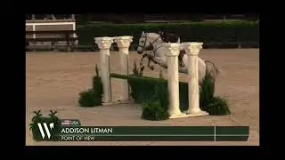 Junior Hunter Round - Score 85