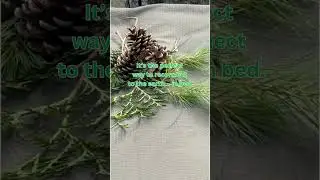 Deep forest green earthing sheets!!
