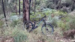 Totness downhill