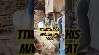 Watch This Machine Eat Logs #wood #woodworking #automobile #satisfying #woodworking #2026 #viral