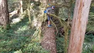 Middle Fork Willamette River Backpacking