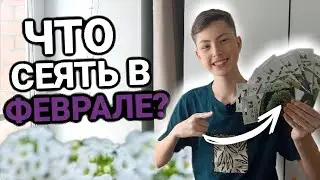 ЧТО СЕЯТЬ В ФЕВРАЛЕ 2026? Овощи, цветы и другое! 