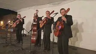 Cien años - Rondalla Ilusión Bohemia Querétaro