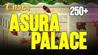 ASURA PALACE - MAŁO OBLEGANE MIEJSCE I DOBRY EXP - TIBIA