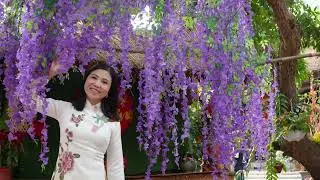Hà Nội 12 mùa hoa /  Nguyệt Hạ