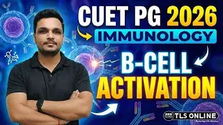 B-Cell Activation: T-Dependent vs Independent Pathways | CUET PG 2026