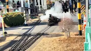 新宿交通公園ミニSL弁慶号