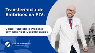 Transferência de embriões na FIV: Como funciona o processo com embriões descongelados
