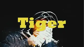 3ST ICH KITE - Tiger