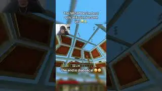 Minecraft Best Optical Illusion