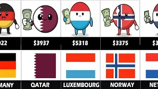 Average Monthly Salary From Different Countries 