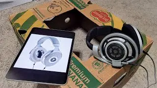 Focal Clear против Sennheiser HD800