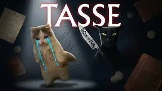 Tasse Spiegate dai Gatti