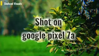 Shot on Google Pixel 7a | Cinematic Mobile Camera Results ✨