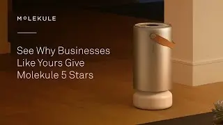 The 5-Star Reviews Are In: Businesses Love Molekule Air Purifiers