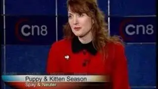 Comcast Newsmakers Puppy & Kitten Season