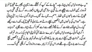 Urdu Novel 